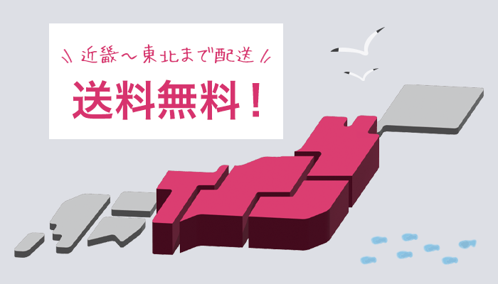 近畿~東北まで配送 送料無料!